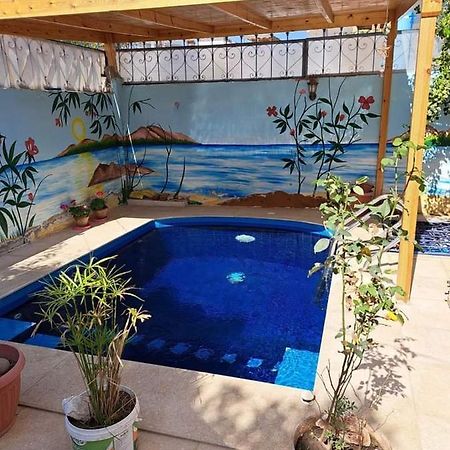 Villa Louise Guest House Luxor Bagian luar foto
