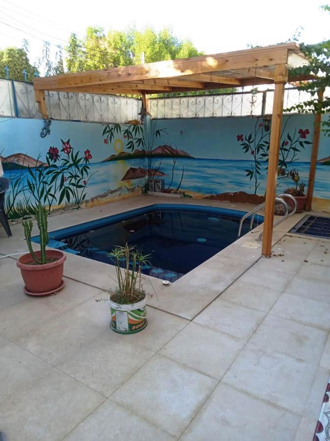Villa Louise Guest House Luxor Bagian luar foto