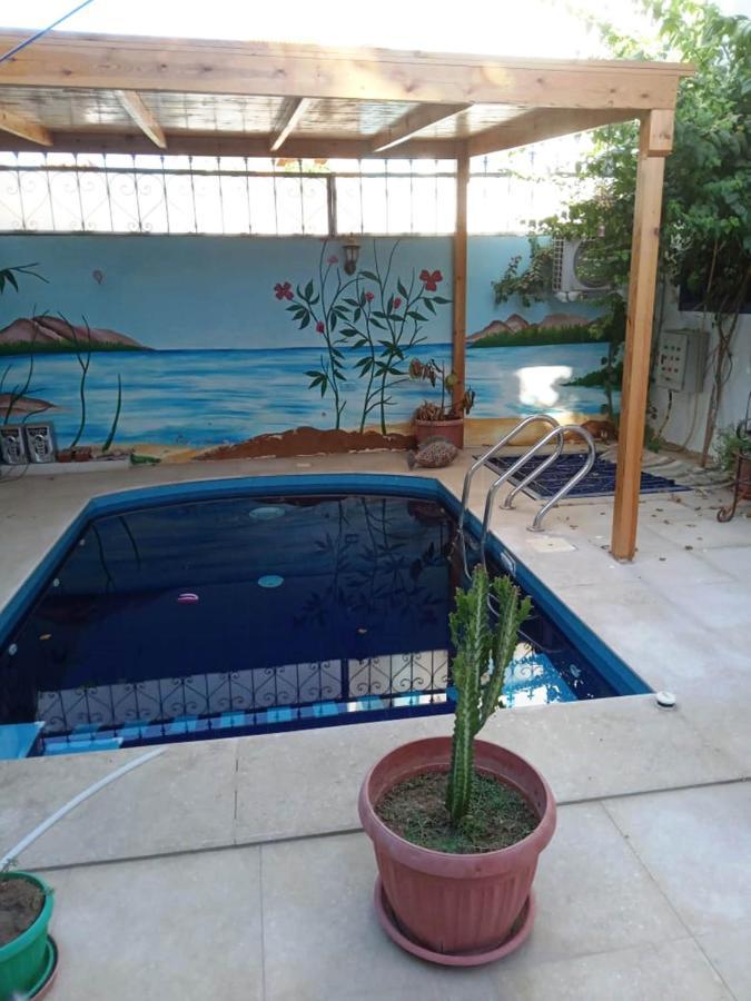 Villa Louise Guest House Luxor Bagian luar foto