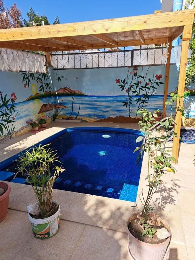 Villa Louise Guest House Luxor Bagian luar foto