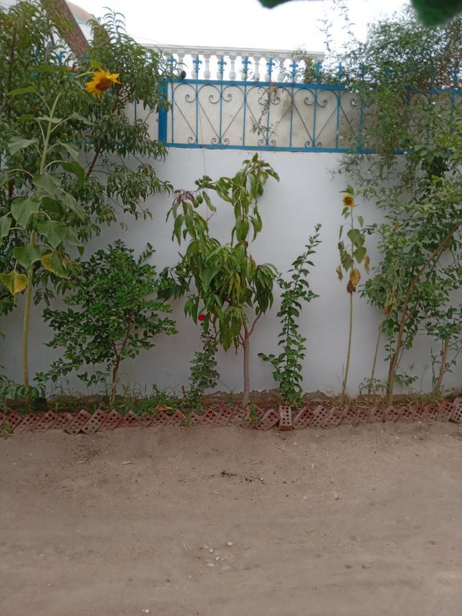 Villa Louise Guest House Luxor Bagian luar foto